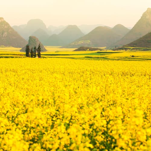 เทือกเขาไก่ทอง