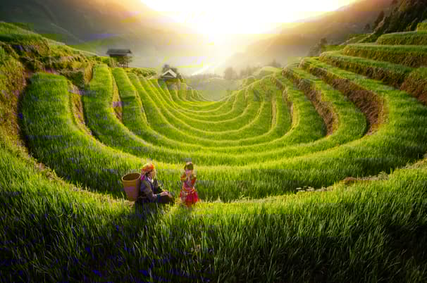 บินเหมาลำ ฉลองเทศกาลปีใหม่ ซาปา ฮานอย ฟานซีปัน วัดตามจุ๊ก (พักหรู 5 ดาว) 4 วัน 3 คืน