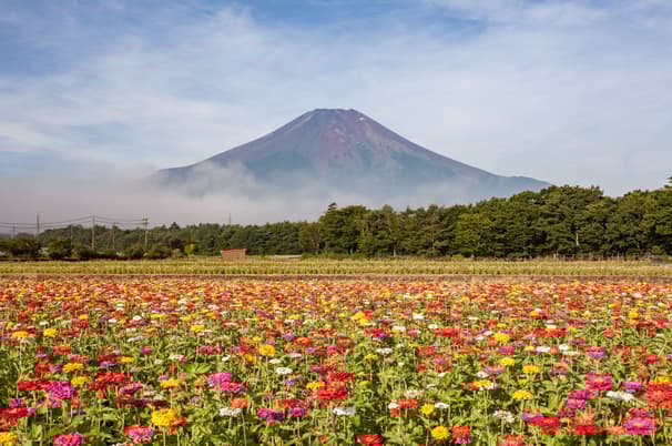 TOKYO FUJI SUMMER FREEDAY 5D 3N BY XJ -- JUN - SEP'25 -- ซุปตาร์ ซัมเมอร์ ฟรีเดย์ ผจญภัยโตเกียวสุดฟิน