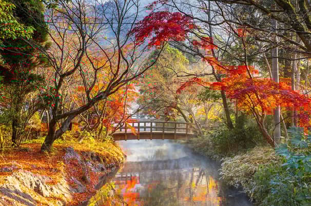TOKYO IBARAKI KAWAGOE FUJI AUTUMN 5D 3N BY XJ -- OCT'25 --- ซุปตาร์...ซุปตาร์หนุ่มเมืองเก่ากับสาวบุษบา