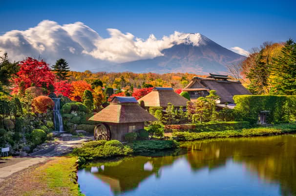 Amazing Autumn TOKYO FUJI NIKKO IBARAKI 5วัน 3คืน