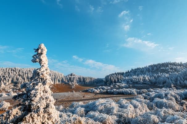 ทัวร์จีน ฉงชิ่ง 6 วัน 4 คืน BT-CKG11_VZ อู่หลง หลุมบ่อฟ้า หุบเขานางฟ้า รถไฟฟ้าทะลุตึก หงหยาต้น บิน VZ (BKK)