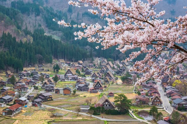 TAKAYAMA TOYAMA TOKYO COLORFUL FLOWER 7D 4N 