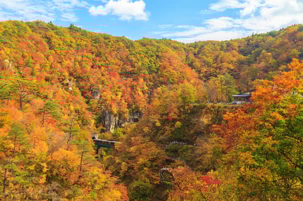 GO2NRT-TG080 TOKYO MIYAGI SENDAI ROMANTIC AUTUMN  6D 4N โดยสายการบินไทย [TG]