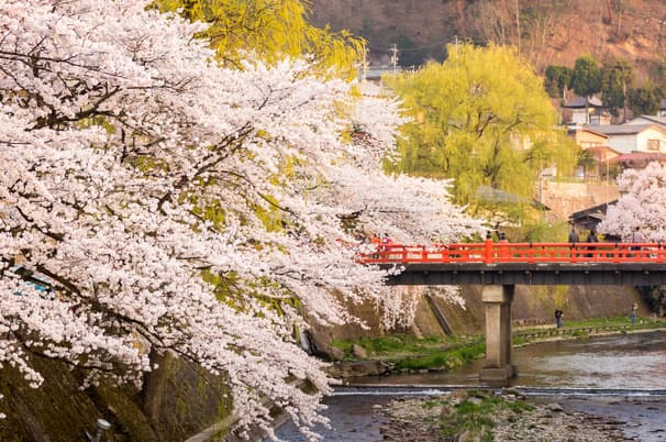 ทัวร์ญี่ปุ่น โอซาก้า เกียวโต 7 วัน 4 คืน GO2KIX-TG074 วัดคัตสึโอจิ ชิราคาวาโกะ โอชิโนะฮักไก วัดนินนาจิ บิน TG (BKK)