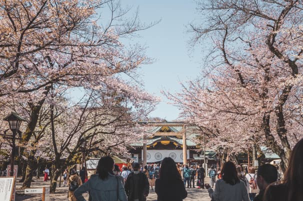 ทัวร์ญี่ปุ่น โตเกียว 5 วัน 3 คืน XJ337 พระใหญ่ไดบุทสึ คามาคุระ เกาะเอโนชิมะ ศาลเจ้าเอโนชิมะ ถนนเบ็นไชเท็นนากามิเสะ (ซากุระ) บิน XJ (DMK)