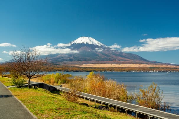 ทัวร์ญี่ปุ่น โตเกียว 5วัน 3คืน JXJ234 วัดอาซากุสะ สวนอุเอโนะ หมู่บ้านโอชิโนะ ฮักไก ย่านชินจูกุ (ซากุระ) บิน XJ (DMK)