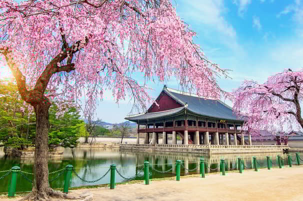 ทัวร์เกาหลี โซล 5 วัน 3 คืน WEKR_GSSB2026 เกาะนามิ เอเวอร์แลนด์ธีมปาร์ค อุทยานแห่งชาติซอรัคซาน วัดชินฮึงซา พระราชวังเคียงบกกุง บิน OZ (BKK)