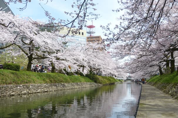 ทัวร์ญี่ปุ่น โอซาก้า นาโกย่า 6วัน 4คืน RJ-XJ120 วัดทองคินคะคุจิ ชิราคาวาโกะ ปราสาทโทยามะ ชินไซบาชิ บิน XJ (DMK)