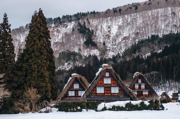 ทัวร์ญีปุ่่น นาโกย่า ทาคายาม่า โอซาก้า 6 วัน 4 คืน GO2NGO-TG081 หมู่บ้านชิราคาวาโกะ ศาลเจ้าชิราฮิเงะ ศาลเจ้าฟูชิมิอินาริ ตลาดปลาคุโรมง บิน TG (BKK)  