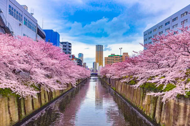 ทัวร์ญี่ปุ่น โอซาก้า เกียวโต 6 วัน 4 คืน BT-KIX-NRT_S01_XJ วัดคินคะคุจิ ชิราคาวาโกะ สวนอาซาฮิฟุนะคาวะ ทะเลสาบคาวากูจิโกะ บิน XJ (DMK)