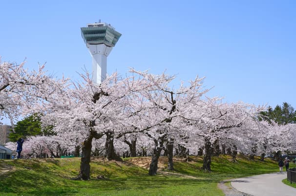 ทัวร์ญี่ปุ่น ฮอกไกโด 6 วัน 4 คืน XJ342 หุบเขานรกจิโกกุดานิ ภูเขาไฟโชวะ สวนฟุกิดาชิ คลองโอตารุ บิน XJ (DMK)