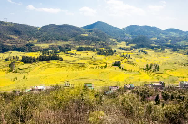 ทัวร์จีน หนานหนิง 6 วัน 5คืน 2UNNG-GX005 สวนดอกซากุระผิงปา หมู่บ้านชนเผ่าแม้วซีเจียง น้ำตกเต๋อเทียน บิน GX (BKK)