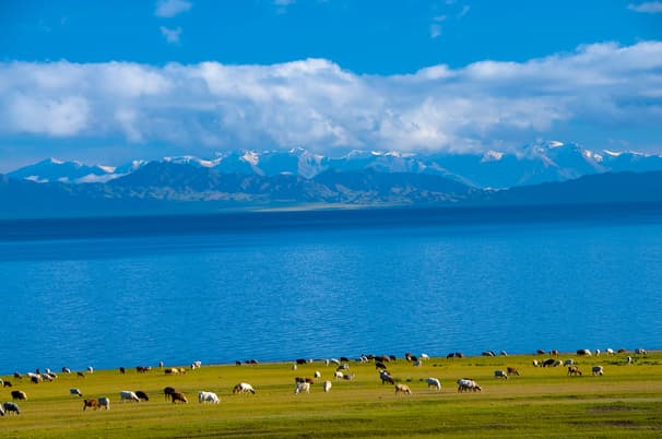 ทัวร์จีน ซินเจียง 6 วัน 4 คืน ZGURC-2602UQ เทือกเขาเทียนซาน แกรนด์แคนยอนตู๋ซานสือ ไซหลีมู่ ทะเลสาบไซลี่มู่ บิน UQ (BKK)