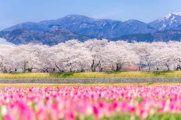 ทัวร์ญี่ปุ่น น่าโกย่า ทาคายาม่า 7 วัน 4 คืน ZGNGO-2604SQ สวนอาซาฮีฟุนะกาว่า พระใหญ่ทากาโอกะ วัดคิโยมิสึ ตลาดปลาคุโรมง บิน SQ (BKK)