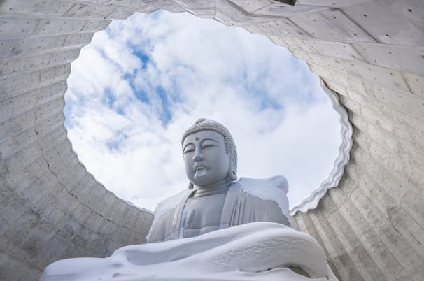 ทัวร์ญี่ปุ่น ฮอกไกโด 5 วัน 3 คืน JPL-CTS-09 กระเช้าลอยฟ้าเอซกอนโดล่า ชิโรอิโคอิบิโตะพาร์ค ตลาดปลาโจไก เนินพระพุทธเจ้า บิน XJ (DMK)