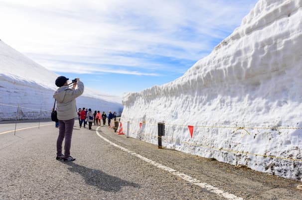 ทัวร์ญี่ปุ่น โตเกี่ยว ทาคายาม่า 7 วัน 4 คืน JPL-HND-05 คามิโคจิ พิงค์มอส เจแปนเอลป์ ชิจุกุ บิน JL (BKK)