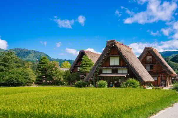 ทัวร์ญี่ปุ่น โอซาก้า ทาคายาม่า 6 วัน 4 คืน กำแพงหิมะ หมู่บ้านชิราคาวาโกะ สะพานนากะบาชิ ศาลเจ้าชิราฮิเงะ บิน TG (BKK)