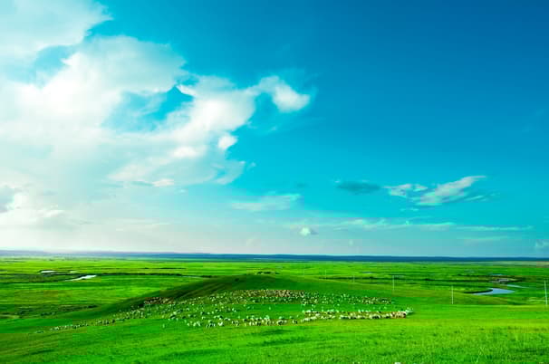 ทัวร์จีน มองโกเลียใน 5 วัน 4 CVZ312 หุบเขาแม่น้ำหวงเหอ ทะเลทรายเสี่ยงชาวาน พิพิธภัณฑ์เงินมองโกล ทุ่งหญ้าเออร์ดอส บิน VZ (BKK)