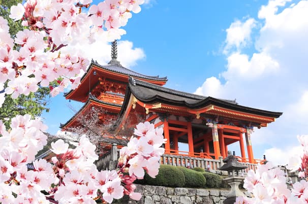 ทัวร์ญี่ปุ่น โอซาก้า เกียวโต 5 วัน 3 คืน JVZ297 ศาลเจ้าฟูชิมิอินาริ ย่านซันมาชิซูจิ หมู่บ้านมรดกโลกชิราคาวาโกะ ย่านชินไชบาซิ บิน VZ (CNX)