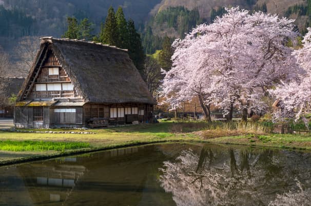 ทัวร์ญี่ปุ่น โอซาก้า ทาคายาม่า 5 วัน 3 คืน  CXJKIX9 วัดนันเซ็นจิ ชิราคาวาโกะ สะพานนาคาบาชิ ถนนซันมาจิซูจิ บิน XJ (DMK)