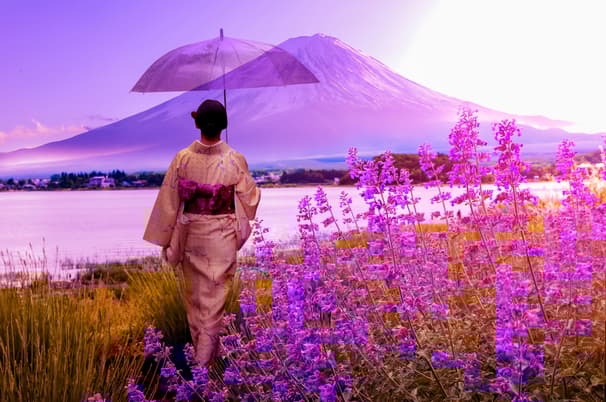 ทัวร์ญี่ปุ่น โตเกียว 5 วัน 3 คืน XJ351 ออนเซ็น สวนสาธารณะโออิชิ หมู่บ้านโอชิโนะฮัคไค บิน XJ (DMK)