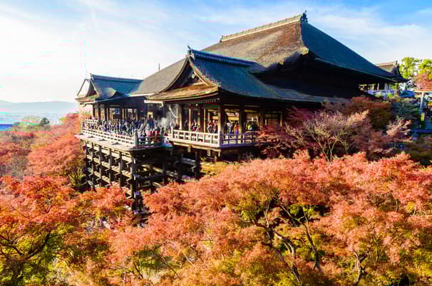 ทัวร์ญี่ปุ่น โอซาก้า 6 วัน 4 คืน ZGKIX-2622MM วัดคิโยมิสึ  ตลาดปลาคุโรมง โอซาก้าชินไซบาชิ บิน MM (BKK)