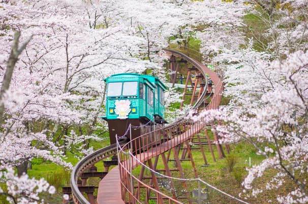 ทัวร์ญี่ปุ่น เซนได 6 วัน 4 คืน RJ-XJ132 ปราสาทฮิโรซากิ ล่องเรือเทบิเค พระใหญ่โชวะ พิพิธภัณฑ์เนบุตะ บิน XJ (DMK)