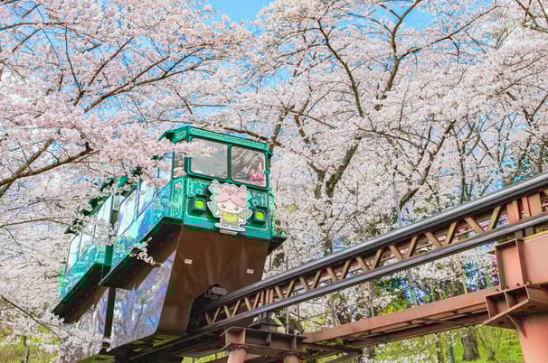 ทัวร์ญี่ปุ่น โอซาก้า โตเกียว VN012 หมู่บ้านมรดกโลกซิราคาวาโกะ ชมแมวยักษ์ 3 มิติ หมู่บ้านโอชิโนะฮักไก บิน VN618 (BKK) 