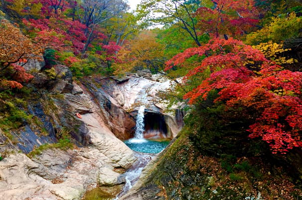 ทัวร์เกาหลี โซล 5 วัน 3 คืน WDICN008 อุทยานซอรัคซาน เกาะนามิ สวนสนุกเอเวอร์แลนด์ หมู่บ้านโบราณอึนพยอง บิน TW (BKK)