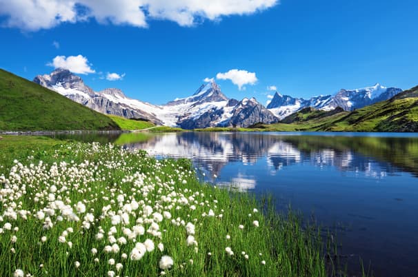 ทัวร์สวิตเซอร์แลนด์ 9 วัน 6 คืน STG164 บ่อหมีสีน้ำตาล เขากอร์นเนอร์แกรต ปราสาทน้ำแข็ง เมืองกรินเดลวัลด์ บิน TG (BKK)