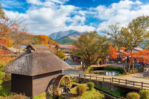 ทัวร์ญี่ปุ่น โตเกียว นิกโก้ 6 วัน 4 คืน GO2NRT-TG078 ศาลเจ้าโทโชคุ ชมโชว์การแสดงนินจา โอชิโนะฮักไก ฟรีเดย์หนึ่งวัน บิน TG(BKK)