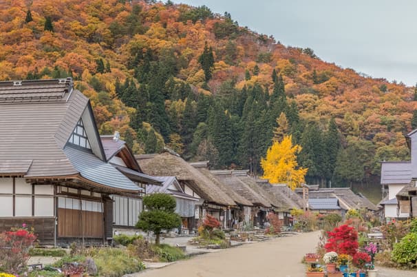 ทัวร์ญี่ปุ่น โตเกียว 6 วัน 4 คืน GO2NRT-TG101 ฤดูกาลใบไม้เปลี่ยนสี เมืองเก่าคาวาโกเอะ อุโมงค์แห่งแสง  หมู่บ้านโออูจิ จู บิน TG (BKK)