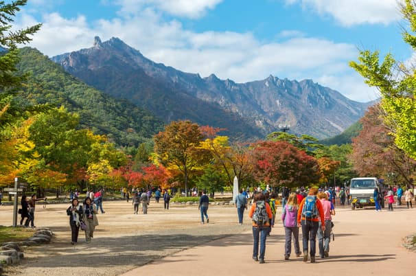 ทัวร์เกาหลี โซล 5 วัน 3 คืน WEKR-SAS2026 เกาะนามิ อุทยานแห่งชาติซอรัคซาน พระราชวังเคียงบก บิน 7C หรือ TW (BKK)