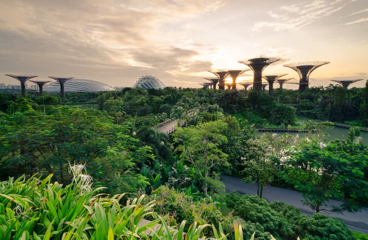 สวนการ์เด้นบายเดอะเบย์