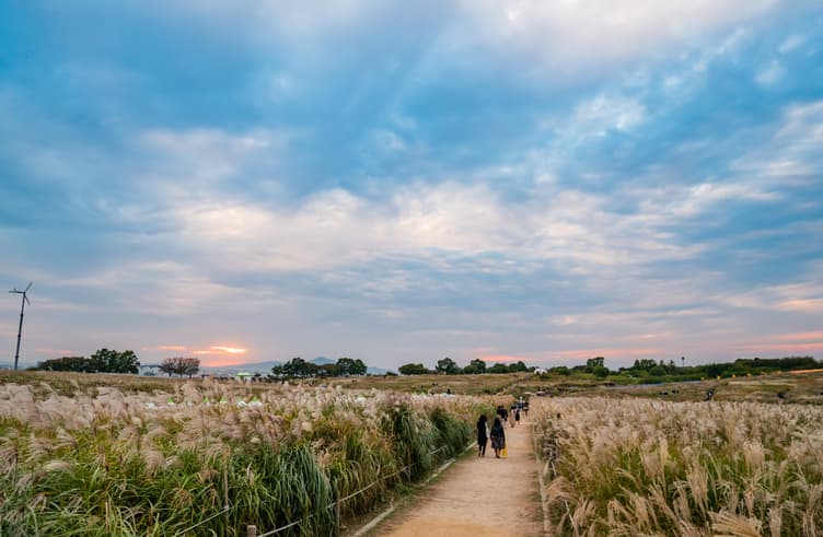 สวนสาธารณะฮานึล