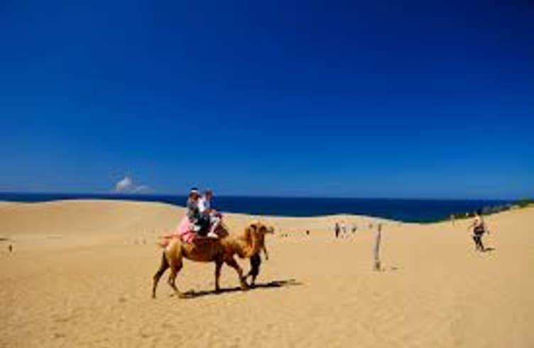 ทะเลทรายทตโตริ