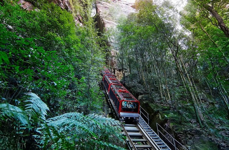 ซีนิกเวิลด์