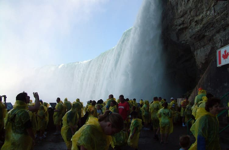 เจอร์นีย์ บีไฮว์ เดอะ ฟลอ