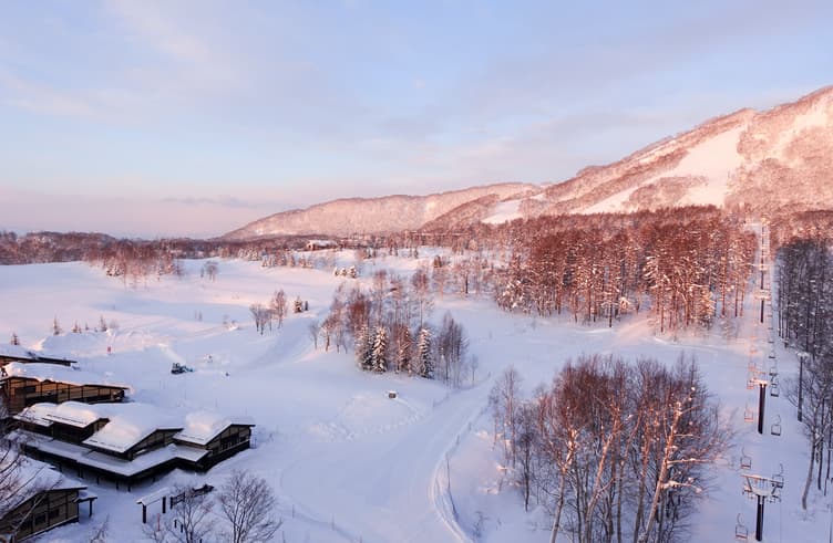 นิเซโกะ