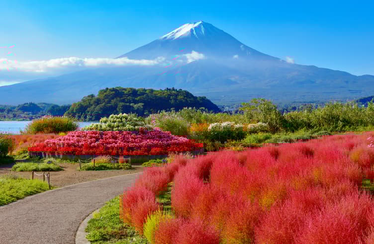 สวนโออิชิพาร์ค