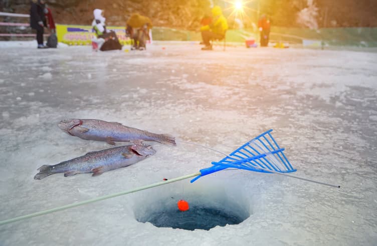 เทศกาลตกปลาน้ำแข็ง