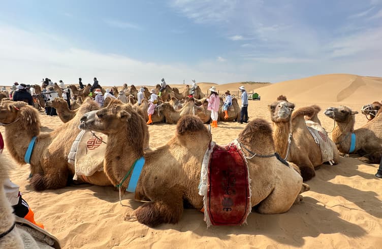 เนินทรายเสี่ยงซาวาน