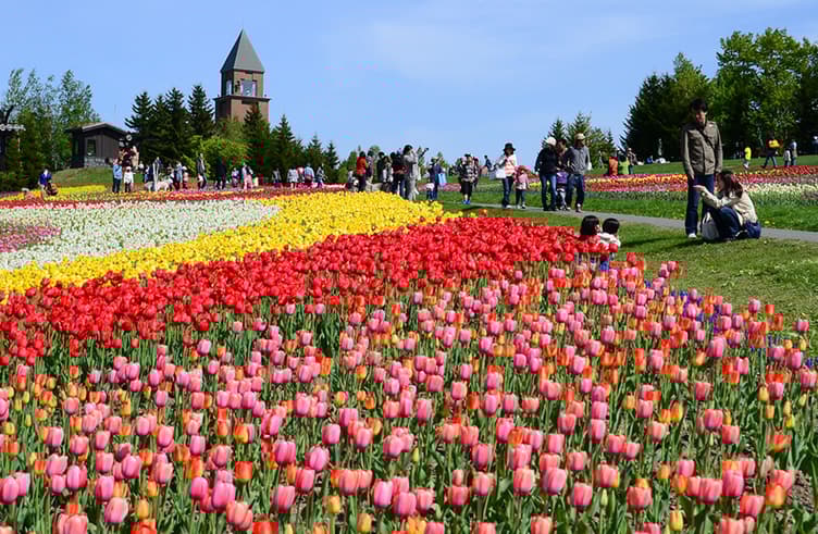 สวนสาธารณะทาคิโนะ ซูซูรัน