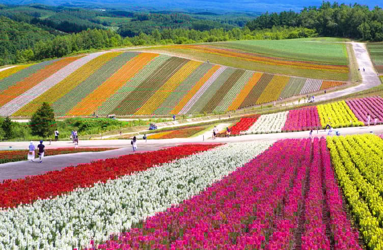 สวนชิคิไซโนะโอกะ