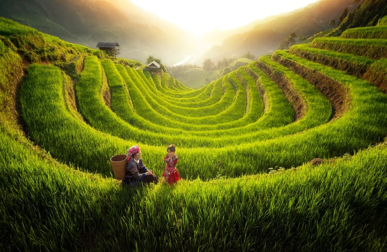 ไร่นาขั้นบันได