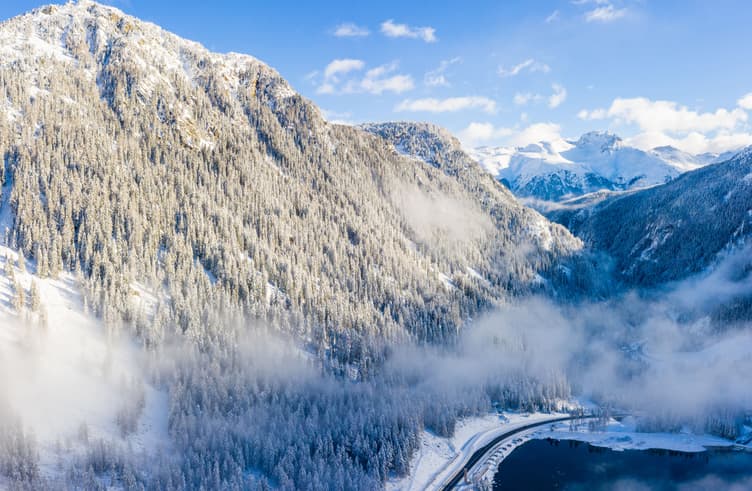 ทางเดินอัลไพน์