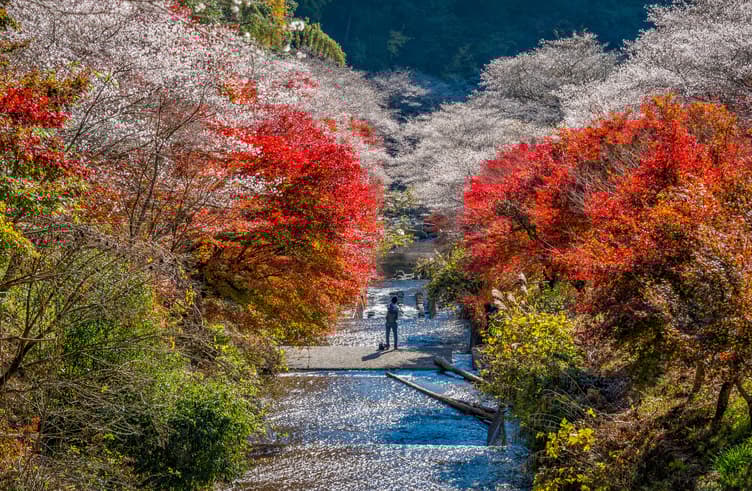 สวนโอบาระ 