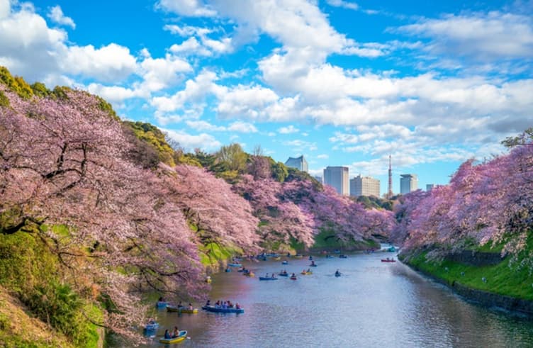 สวนจิโดริงะฟูชิ