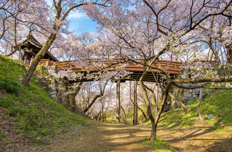 สวนซากปราสาททาคาโตะ